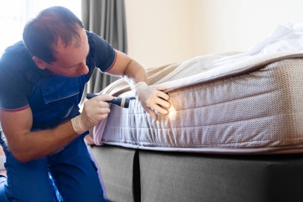 Best Bed Bug Extermination  in Farmington, MS